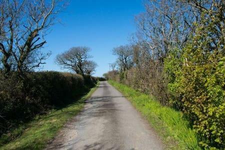 Hallagather Farmhouse Crackington Haven Ngoại thất bức ảnh